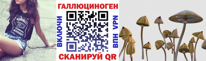 Псилоцибиновые грибы ЛСД  Нижневартовск 